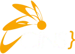 Logo CINS - Agence digitale à Caen